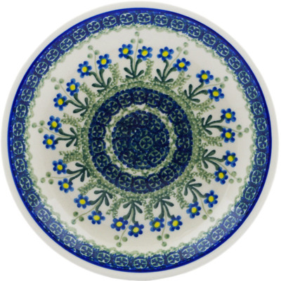 Plate 8"