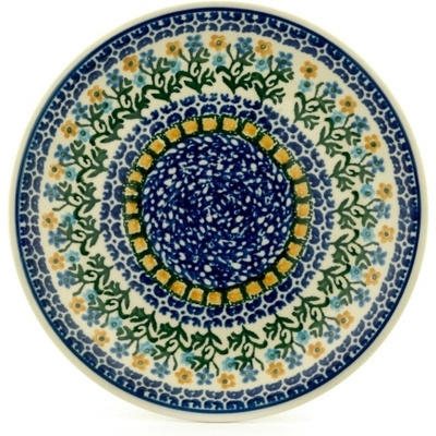 Plate 8"