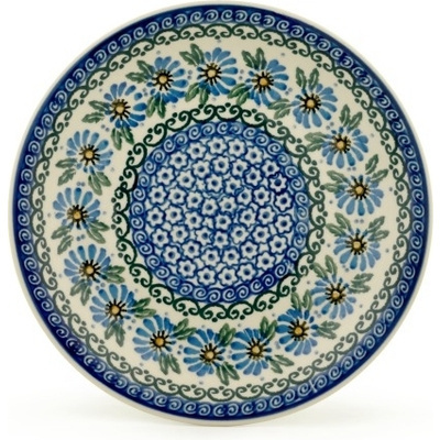 Plate 8"