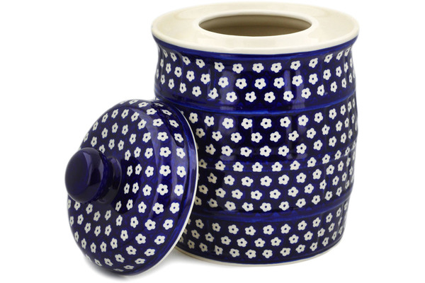 Fermenting crock pot