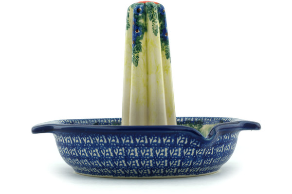 Roaster with Handles and Spout 9"