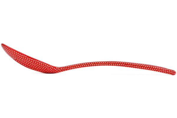 Slotted Serving Spoon 13"