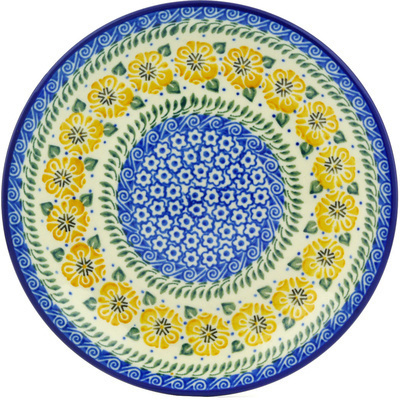 Plate 8"