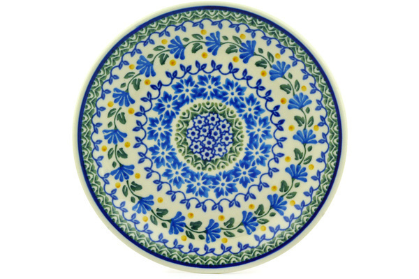Plate 8"