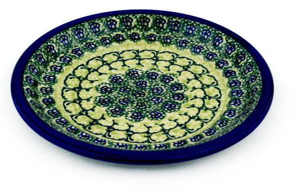Plate 8"