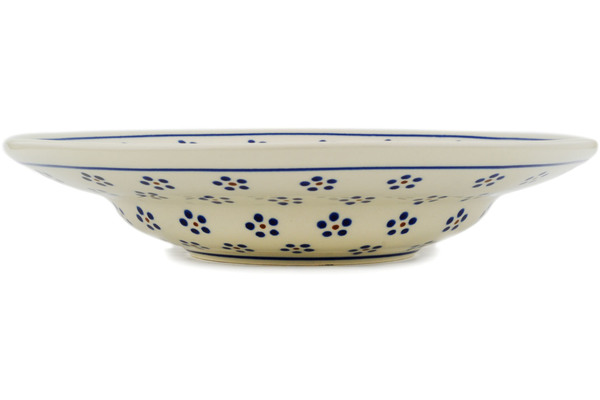 Pasta Bowl 11"