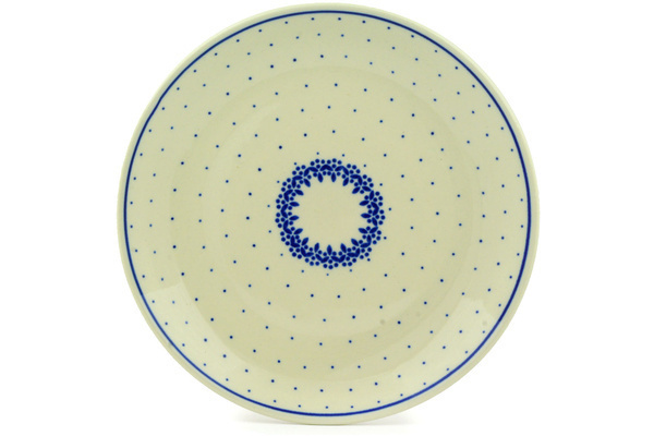 Plate 10"