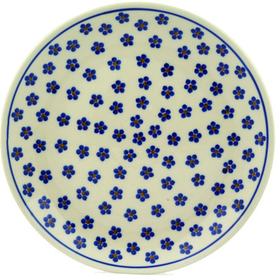 Plate 10"