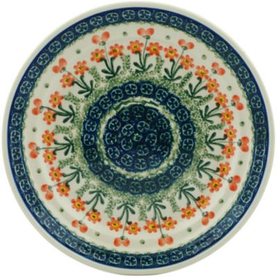 Plate 8"