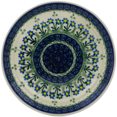 Plate 8"