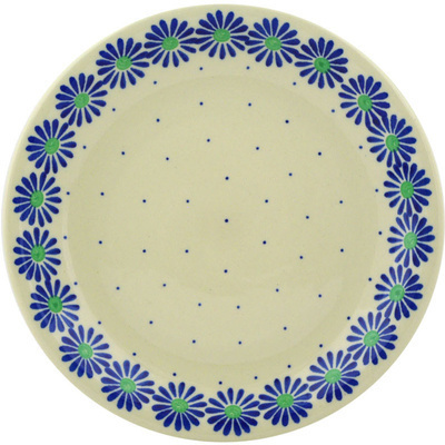 Plate 8"