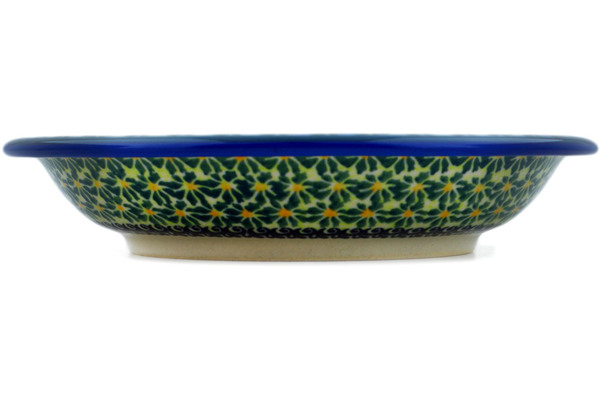 Pasta Bowl 9"