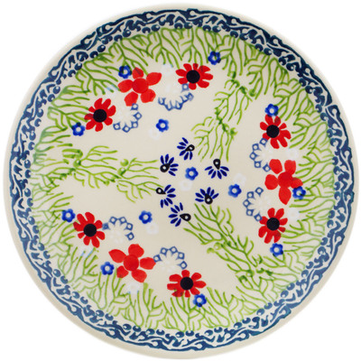 Plate 7"