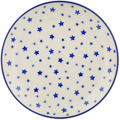 Plate 10"