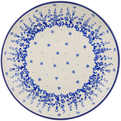Plate 10"