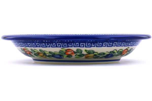 Pasta Bowl 9"