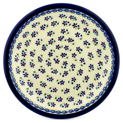 Plate 10"
