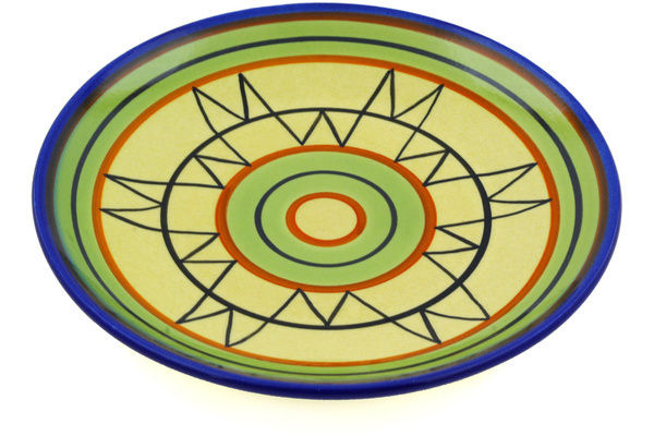 Plate 8"