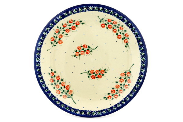 Plate 10"