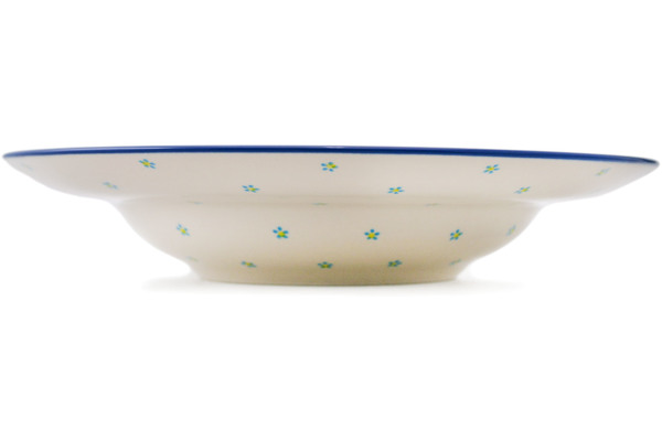 Pasta Bowl 11"