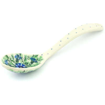 Serving Spoon 9"