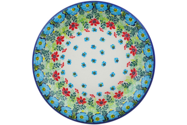 Plate 10"