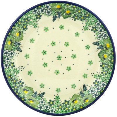Plate 8"