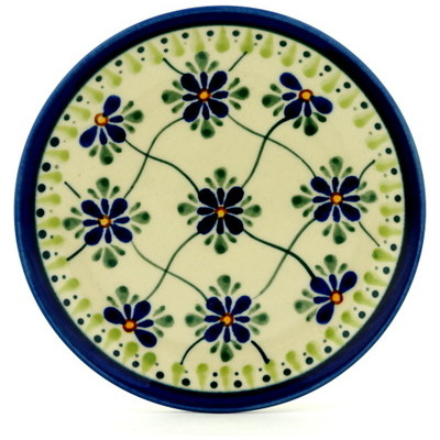 Plate 6"