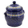 Polish Pottery Jar with Lid and Handles 11&quot; Mosquito