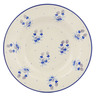 Polish Pottery Pasta Bowl 9"