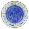 Polish Pottery Pasta Bowl 9"