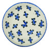 Polish Pottery Plate 10&quot; Blue Berry Special UNIKAT