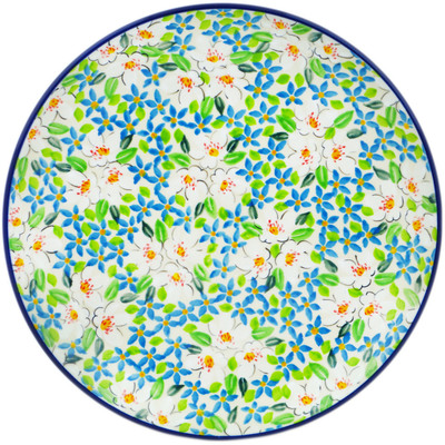 Polish Pottery Plate 10&quot; Green With Envy UNIKAT