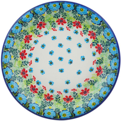 Polish Pottery Plate 10&quot; Tunnel Vision UNIKAT