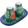 Polish Pottery Salt and Pepper 3-Piece Set Dragonfly Delight UNIKAT