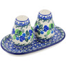 Polish Pottery Salt and Pepper 3-Piece Set Limeberry