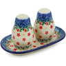 Polish Pottery Salt and Pepper 3-Piece Set Little Flowers