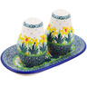 Polish Pottery Salt and Pepper 3-Piece Set Summer Meadow