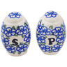 Polish Pottery Salt and Pepper Set 5&quot; Fields Of Glory