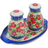 Polish Pottery Salt and Pepper Set Midsummer Bloom
