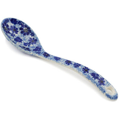 Polish Pottery Serving Spoon 9&quot; Misty Dragonfly