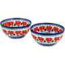 Polish Pottery Set of 2 Bowls  Grecian Fields