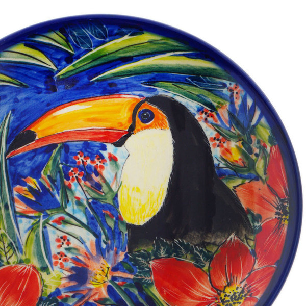 Stoic Toucan