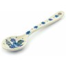 Polish Pottery Sugar Spoon